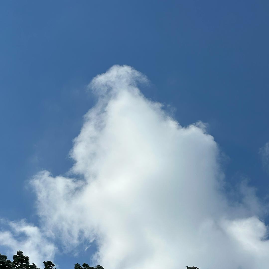 西虹市首富