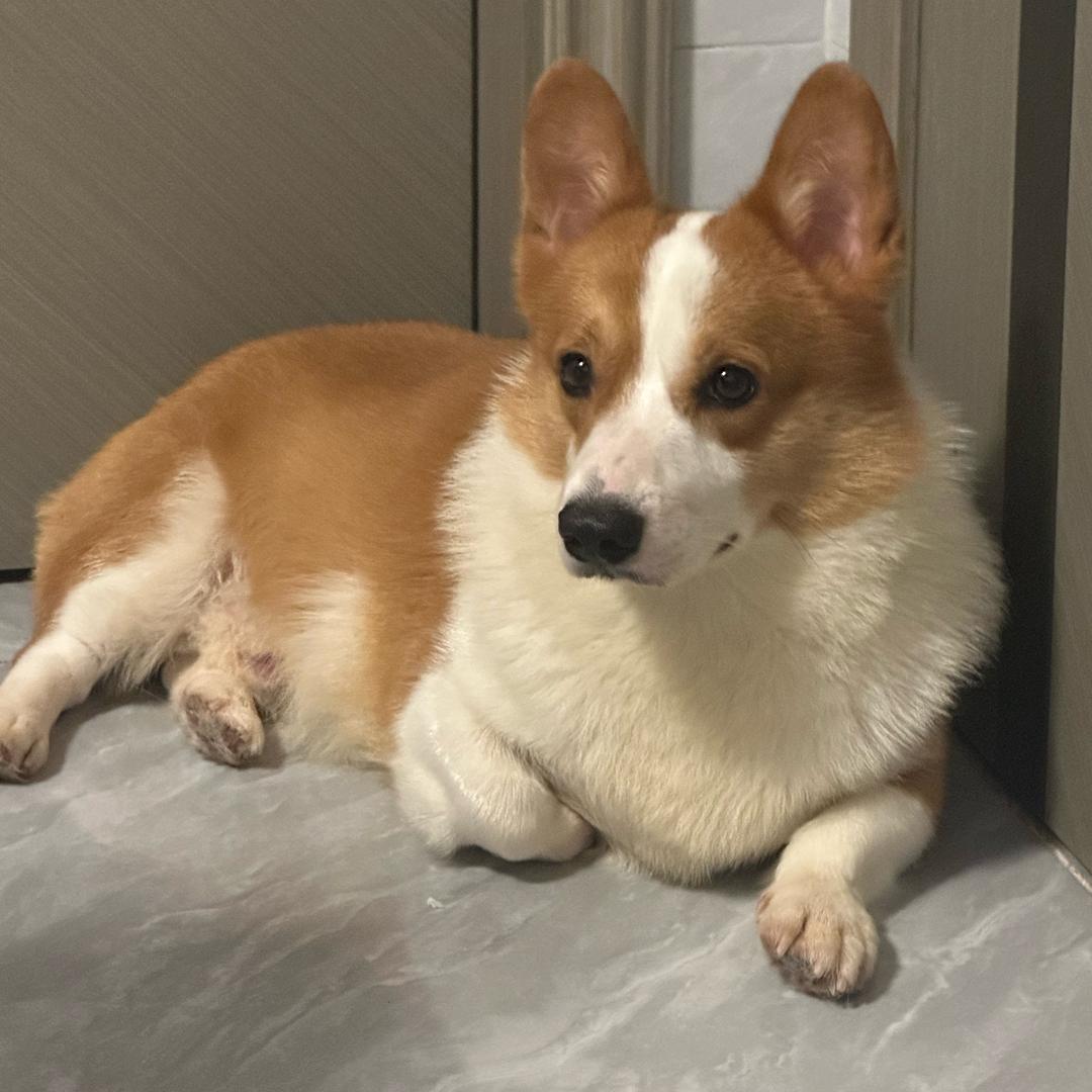 明天会下雨吗吗吗吗吗吗吗吗吗吗吗🌈🌈