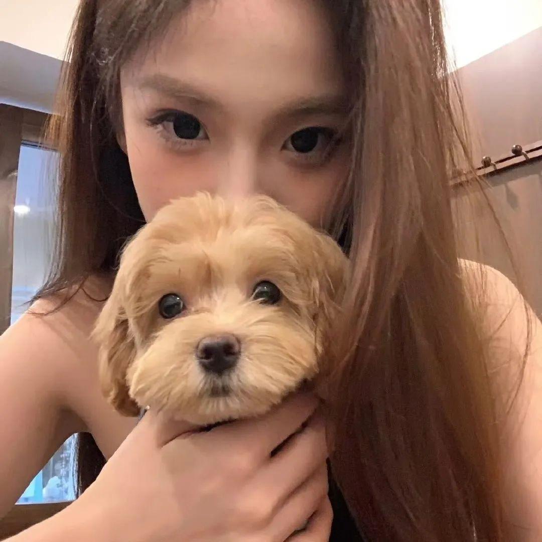 呆呆鱼