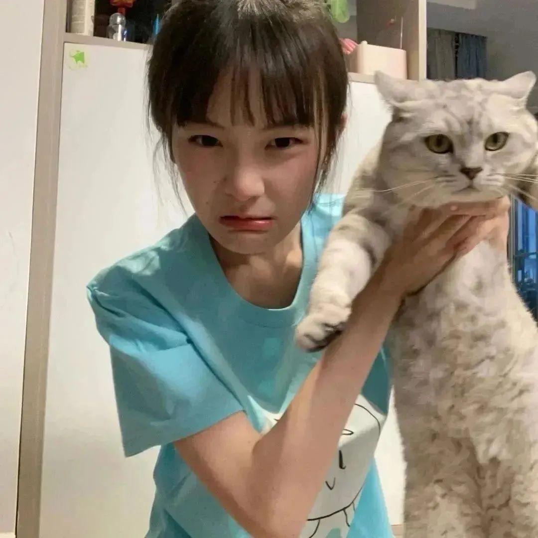只只只