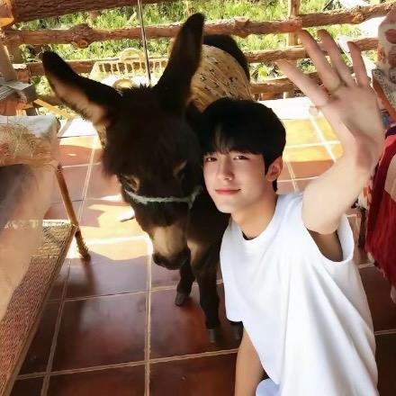 。。。。。。。