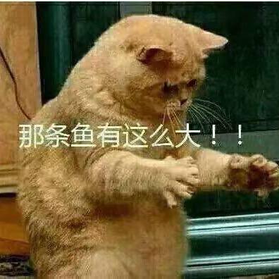 想要玄狗牌的蜗牛