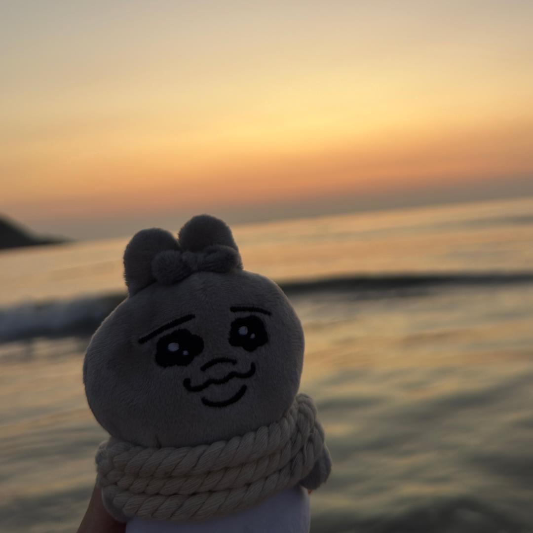 饼女士 （归沪版）