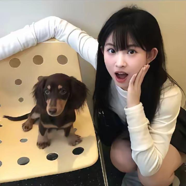 你真的很烦人       ：