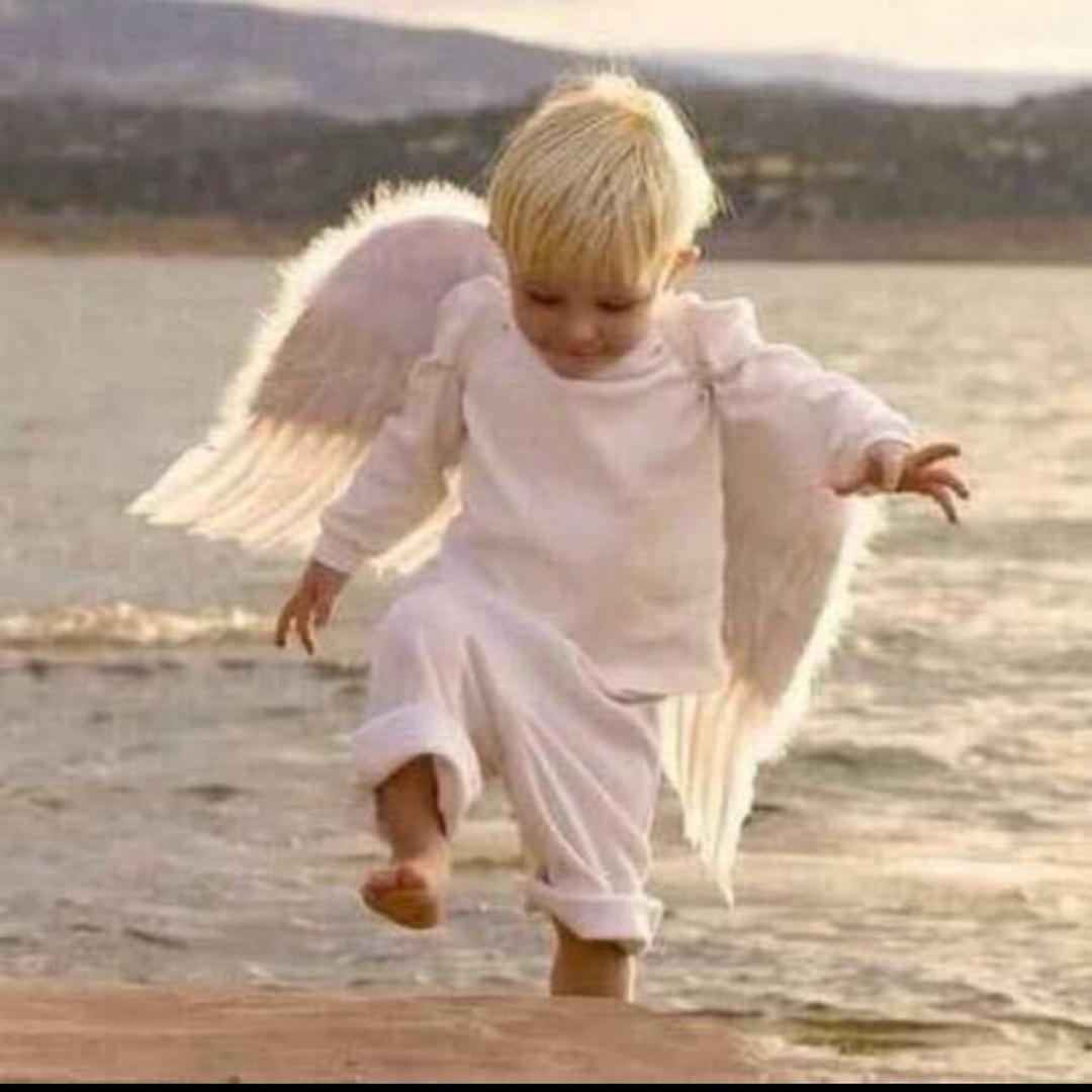 大连友谊商城本店梦特娇