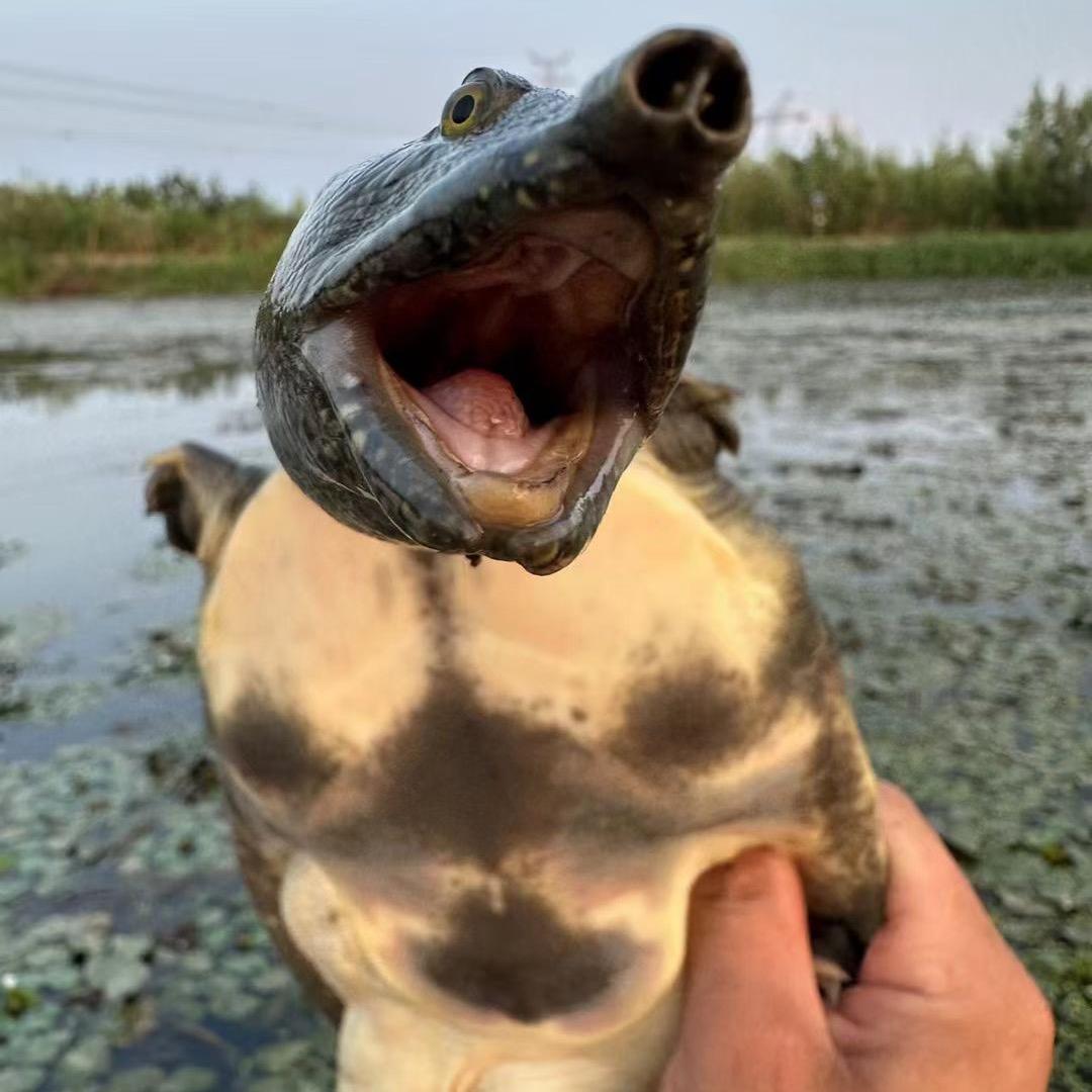 户外锂电特种水产小徐