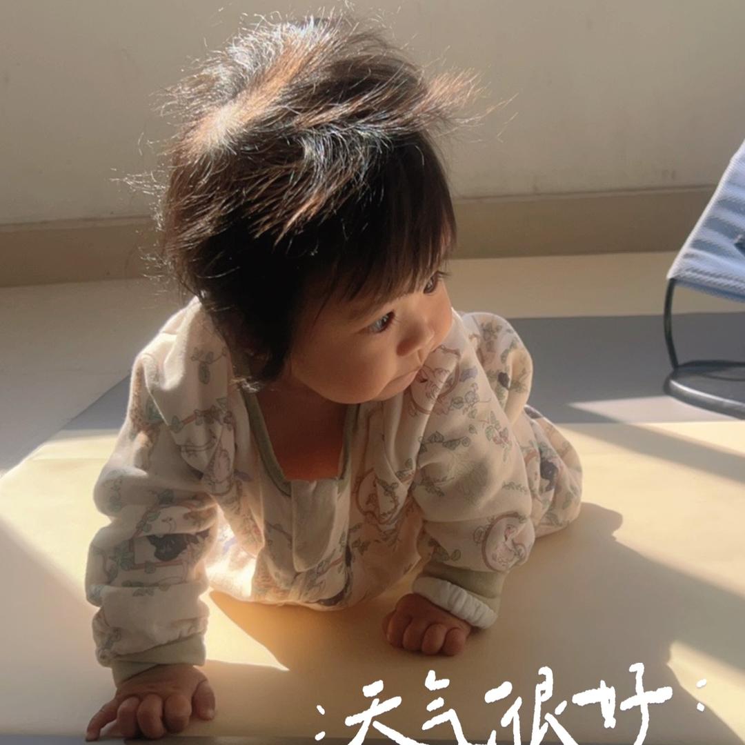 瑶儿崽