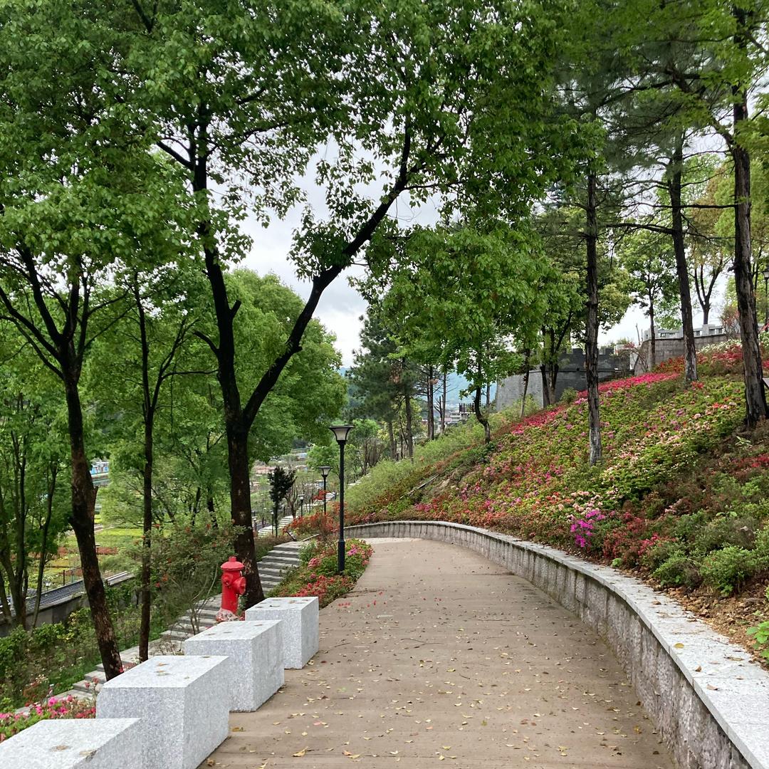 杨哥（伤感情歌）