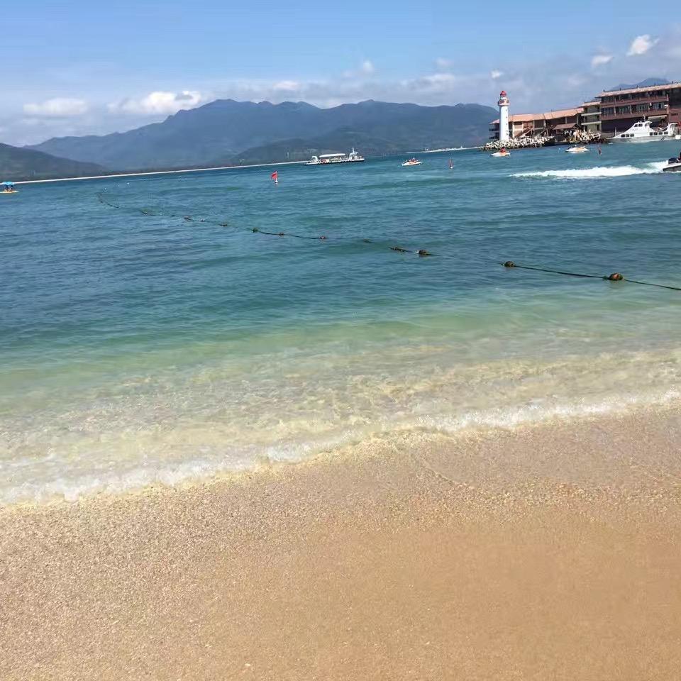 晴子