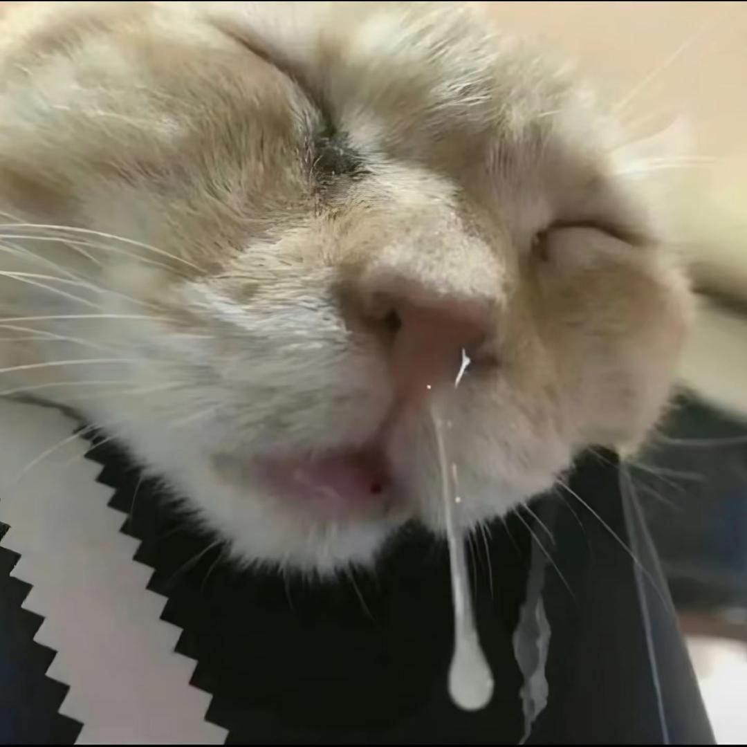 面包超人🥯