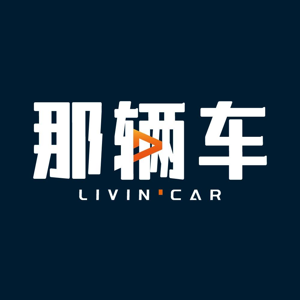 那辆车