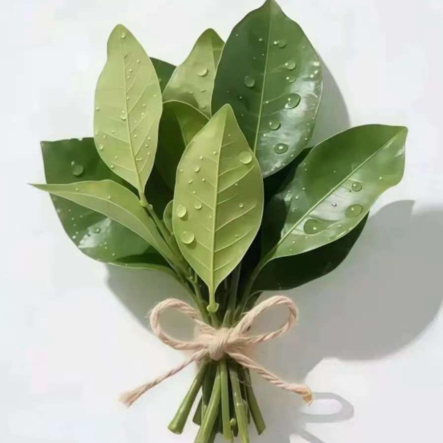 我睡觉的时候不困