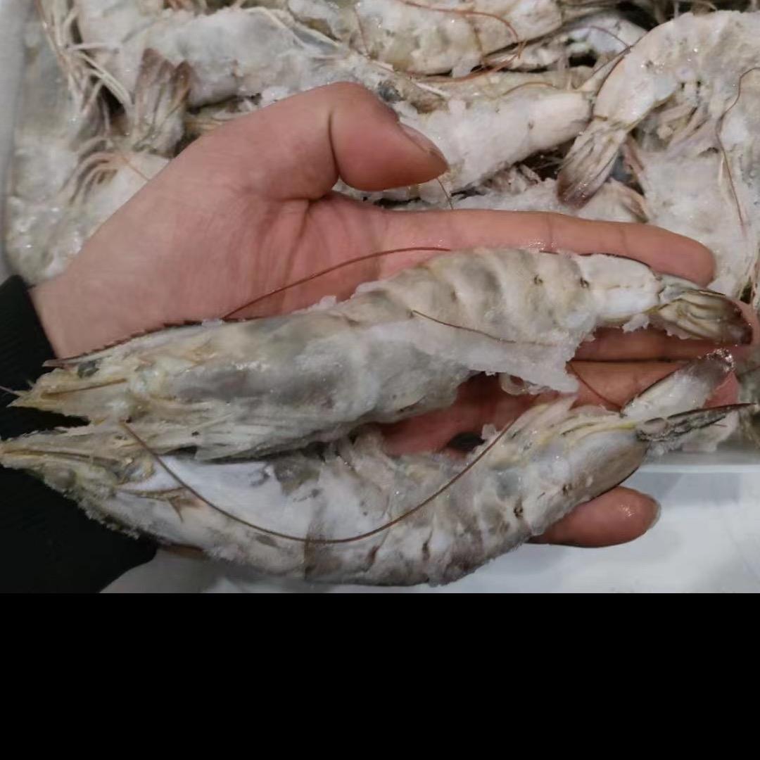欣瑶水产