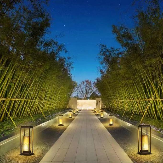 聚顶照明一小凌