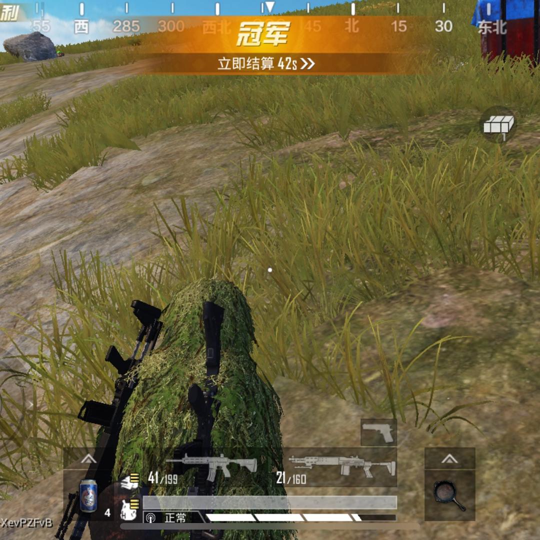 80834772523
