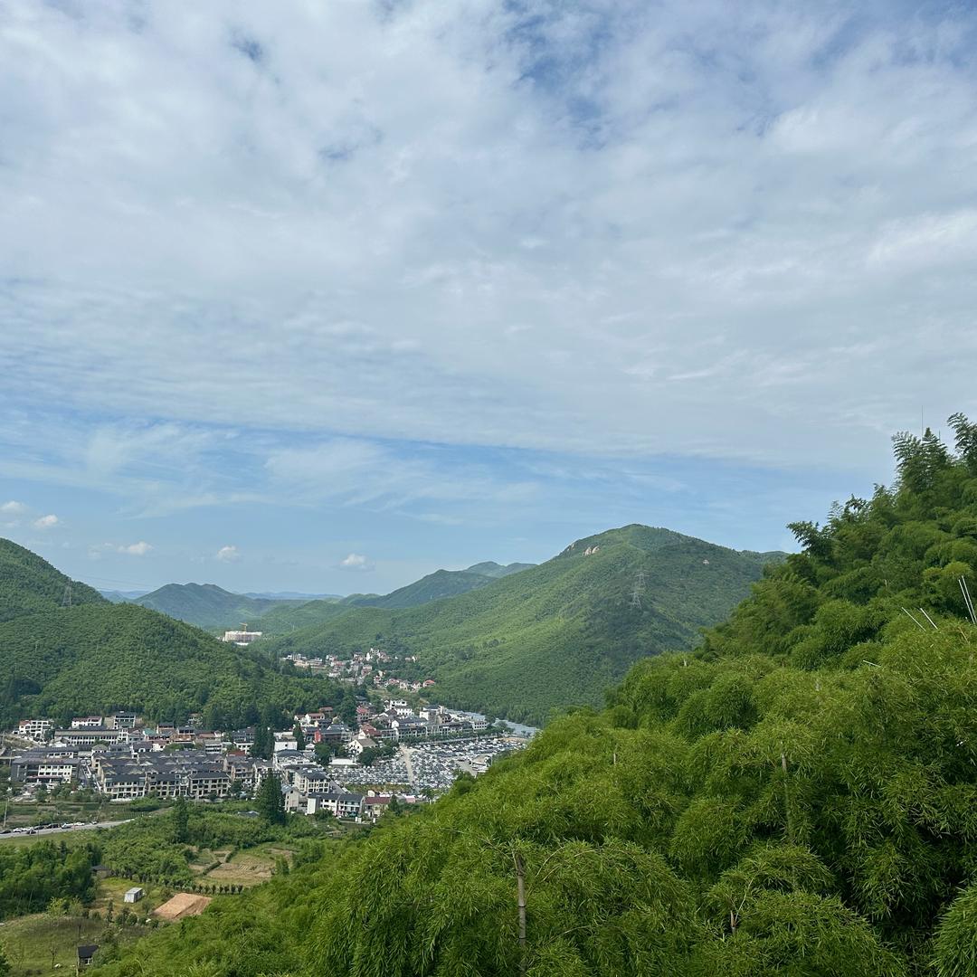 糖糖