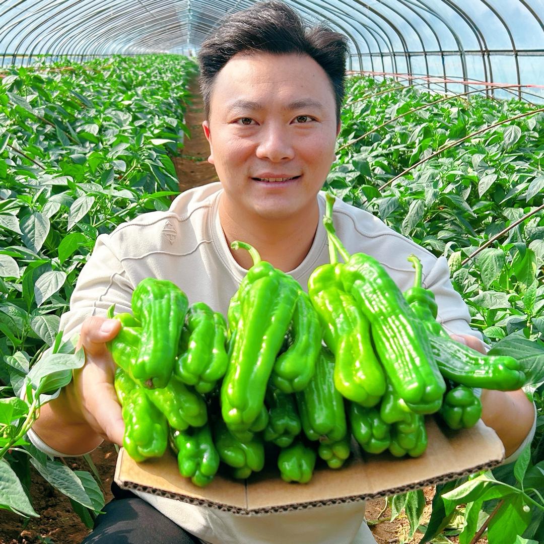 沂蒙山星哥