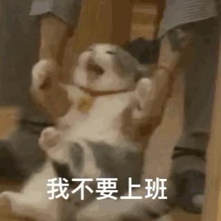 🐣🐣🐣