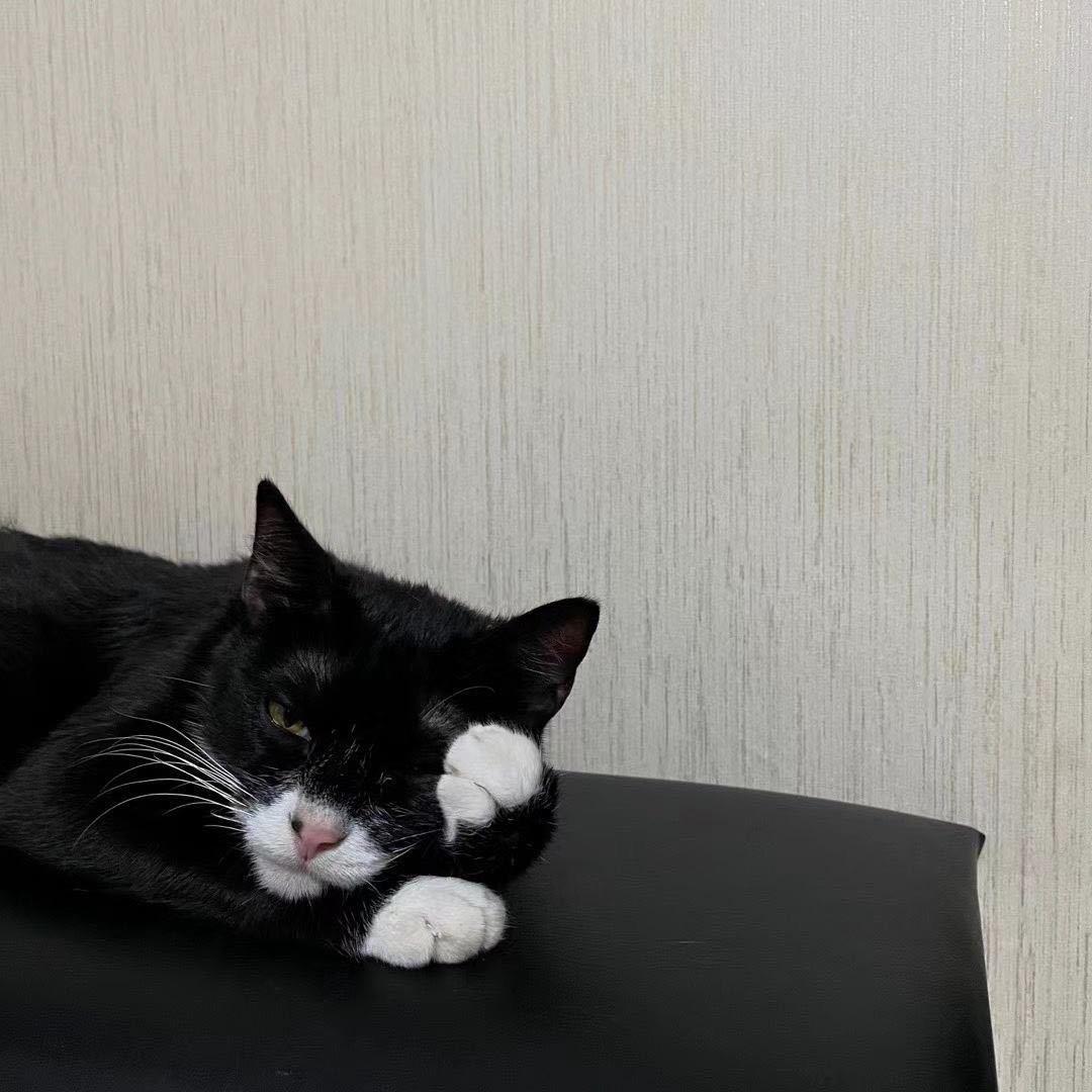 懒得说话