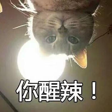 迟