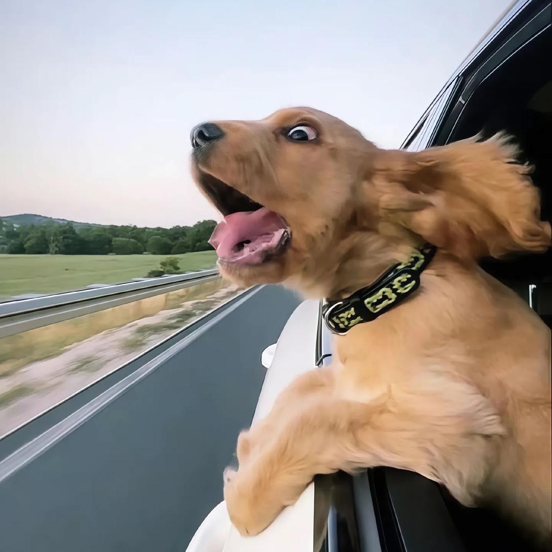 马康👨🏻‍🍳