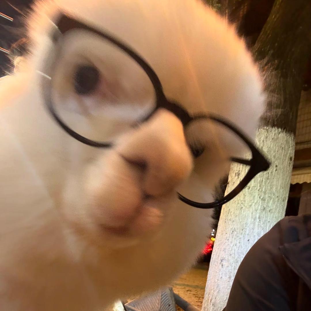 早起的🐛被鸟吃