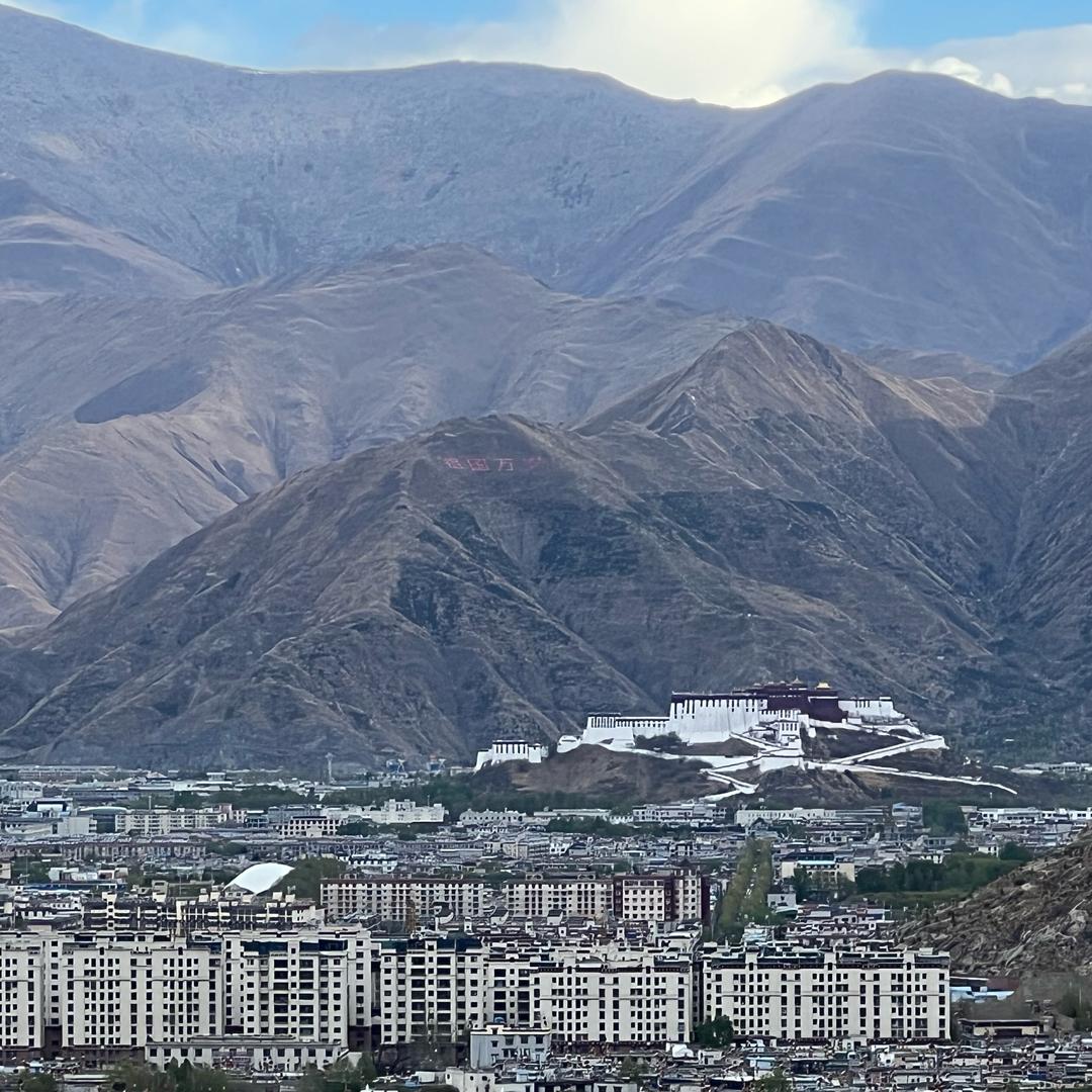 炉石、小新