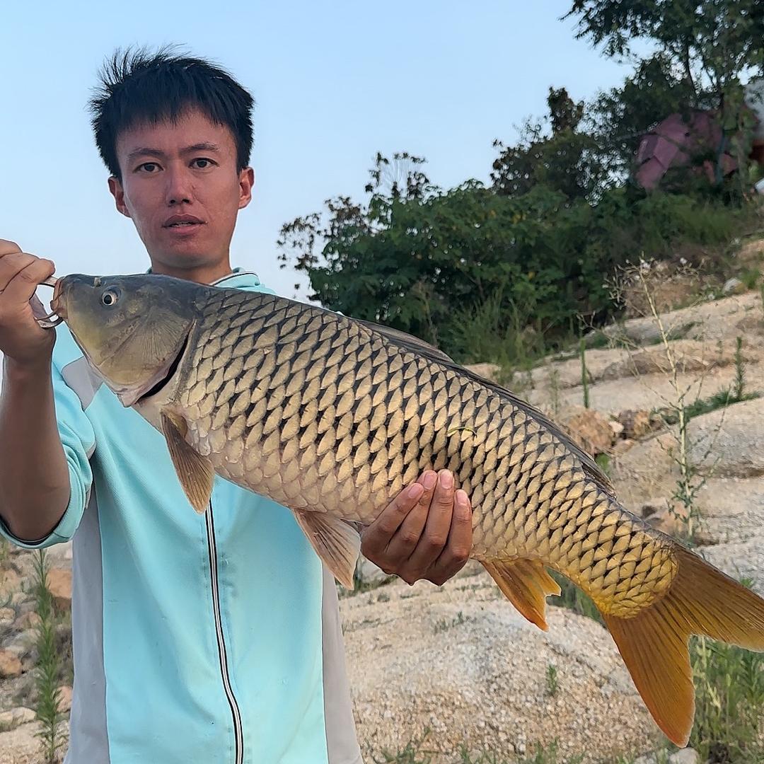 路滑小鱼