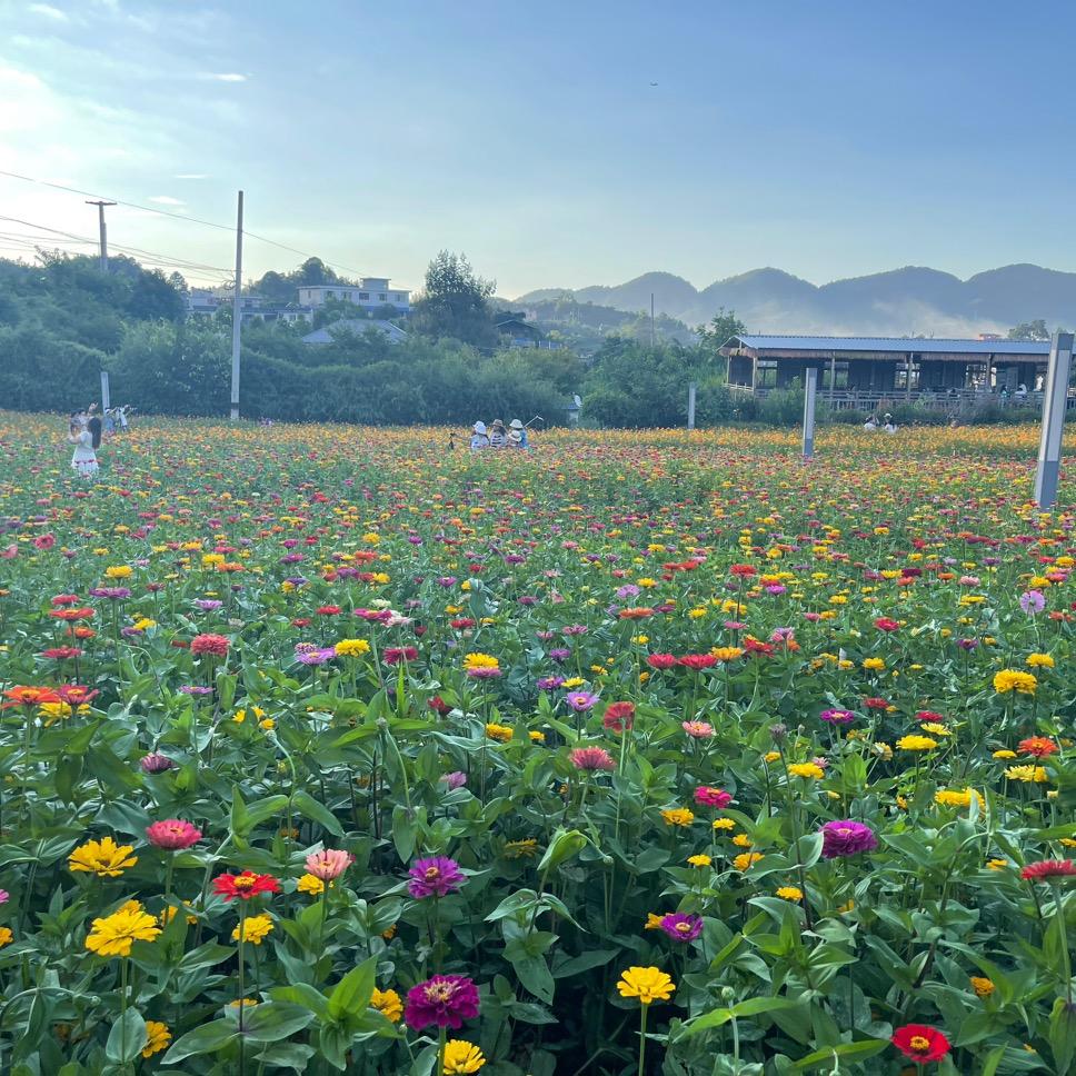 贵州贵阳🌹🌷樊朝玉❤️💖