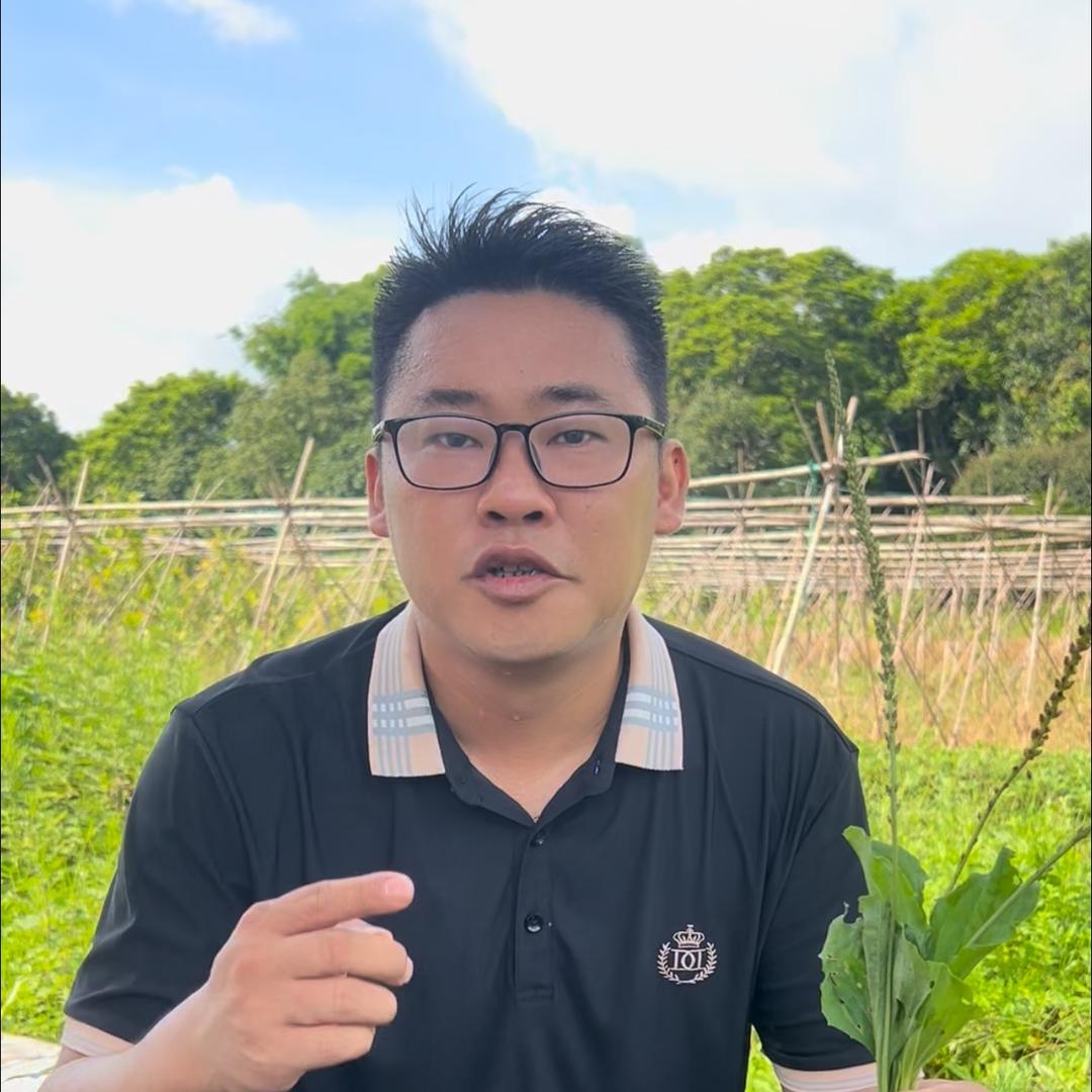 百草君