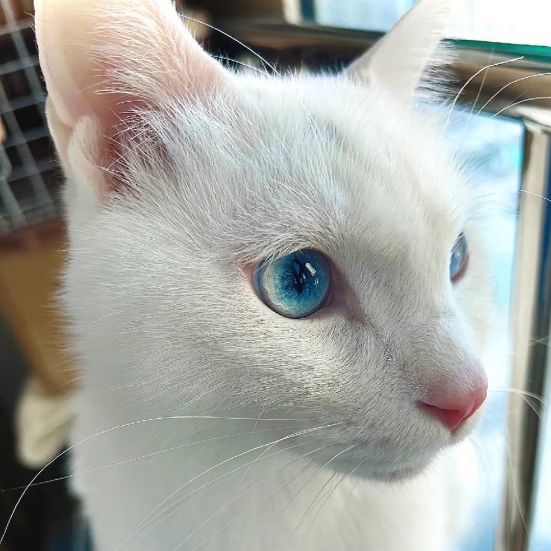 A家具批发定制老🐑