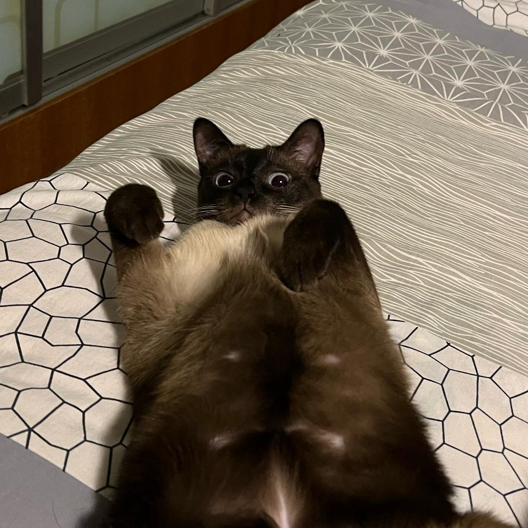 Dam0n