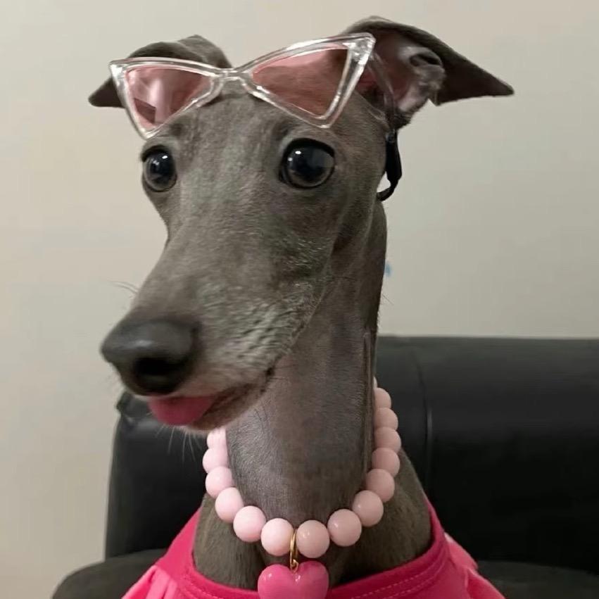 Mary的蝴蝶结