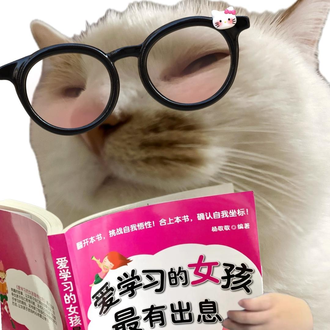 心碎小猫