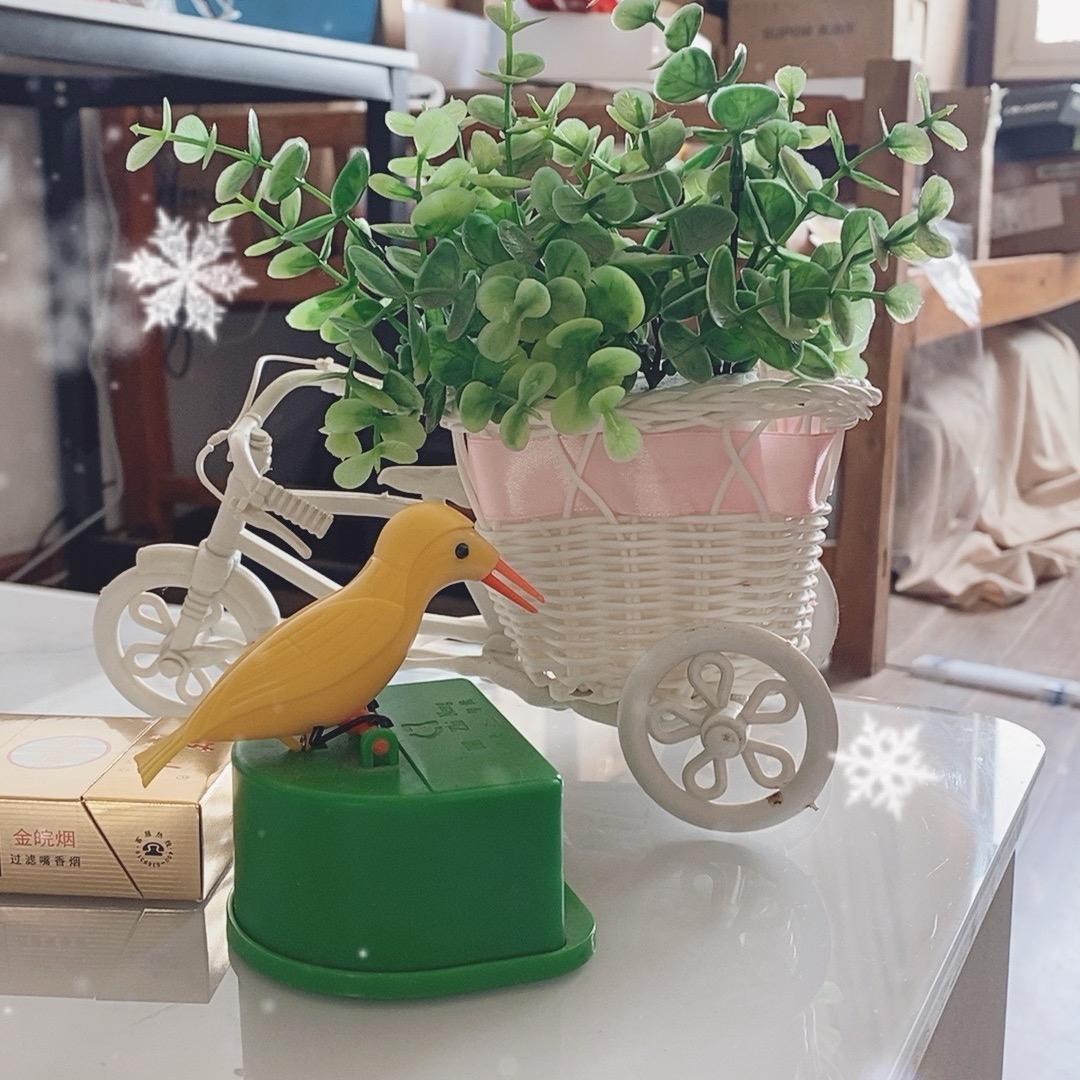 姗姐直播号