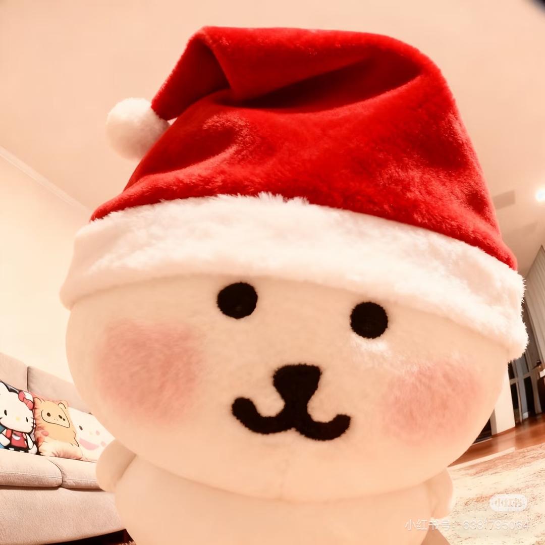 土豆本薯🍟🍟