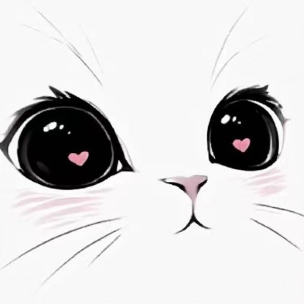 闪电猫咪