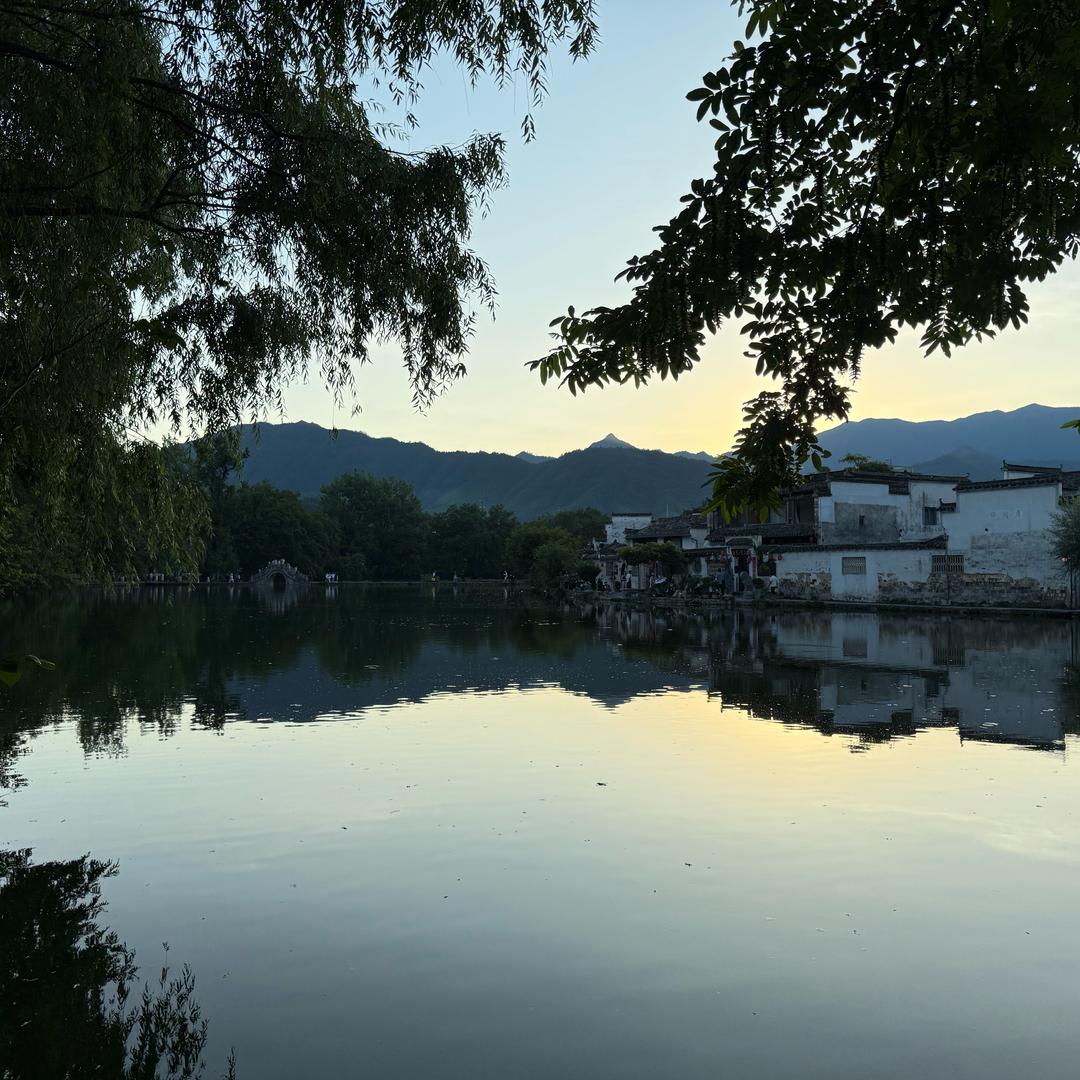ZMHznban