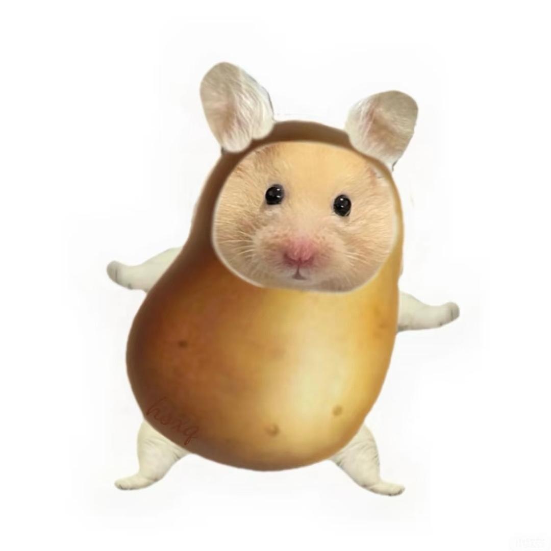 虾仁儿