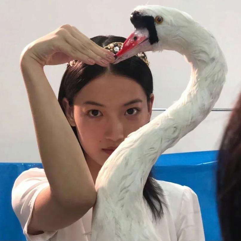 杨尔杨