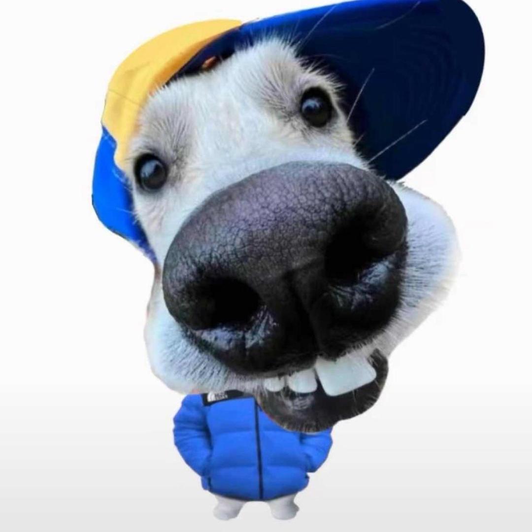 岭南车务-毕加索