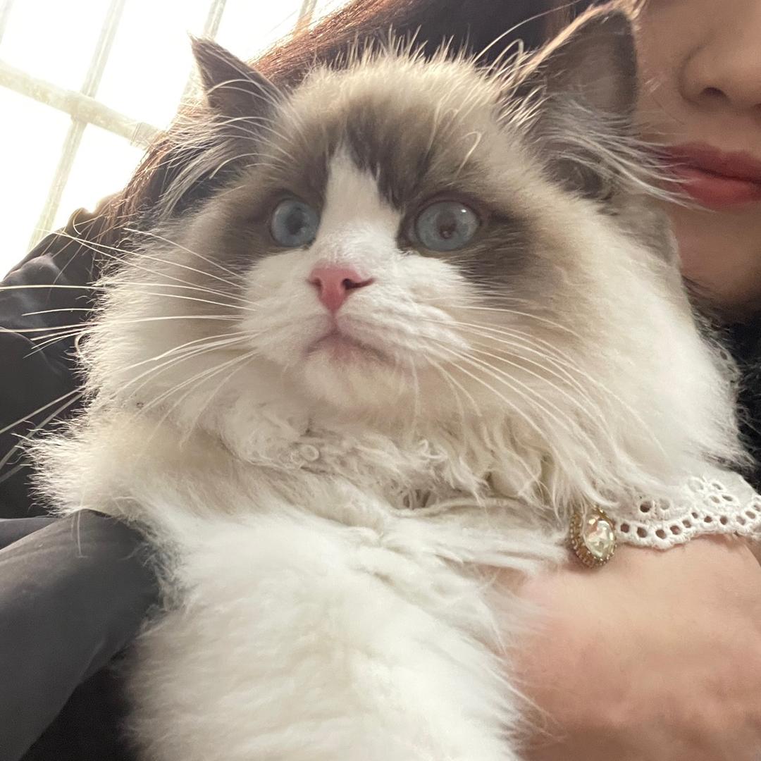 铅山三美＿常婧🌈