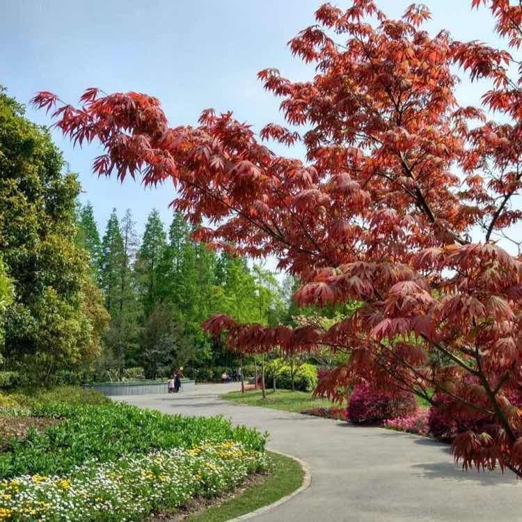 你是我永远的牵挂