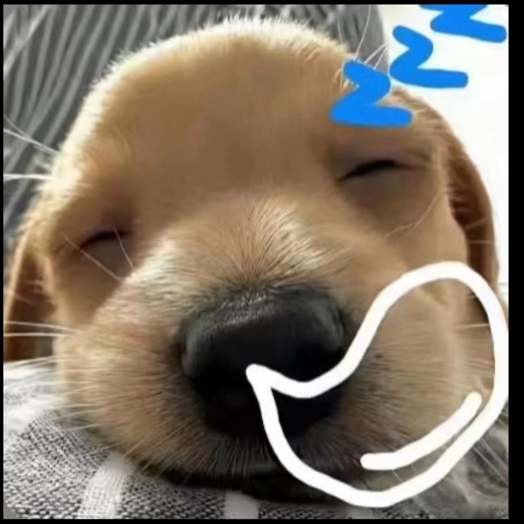 🤪