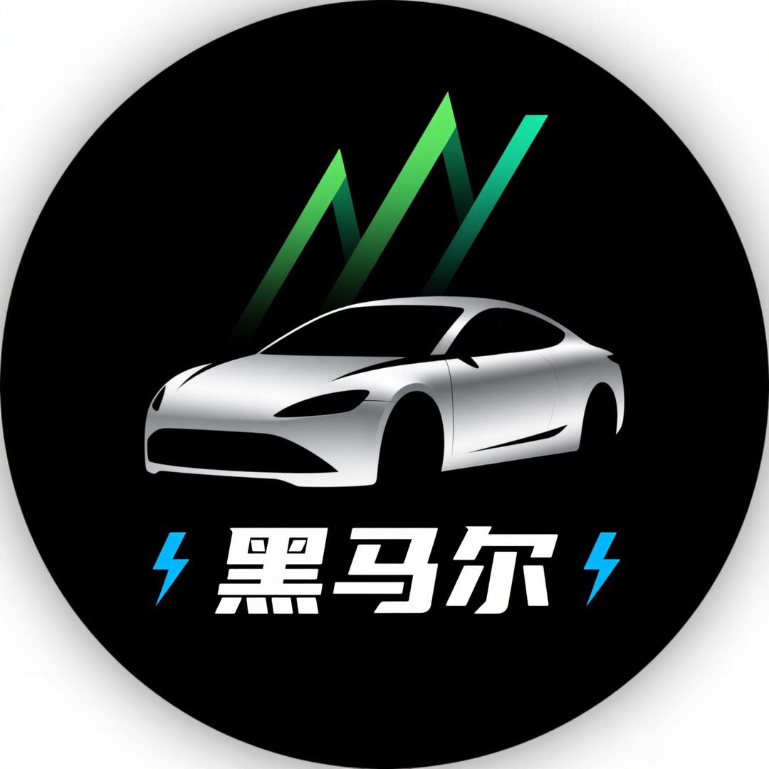 黑马新能源二手车批发