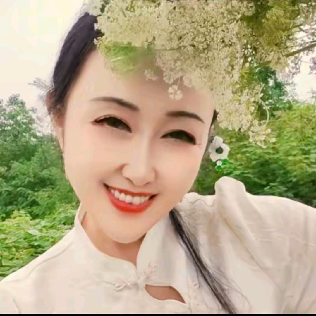画北北