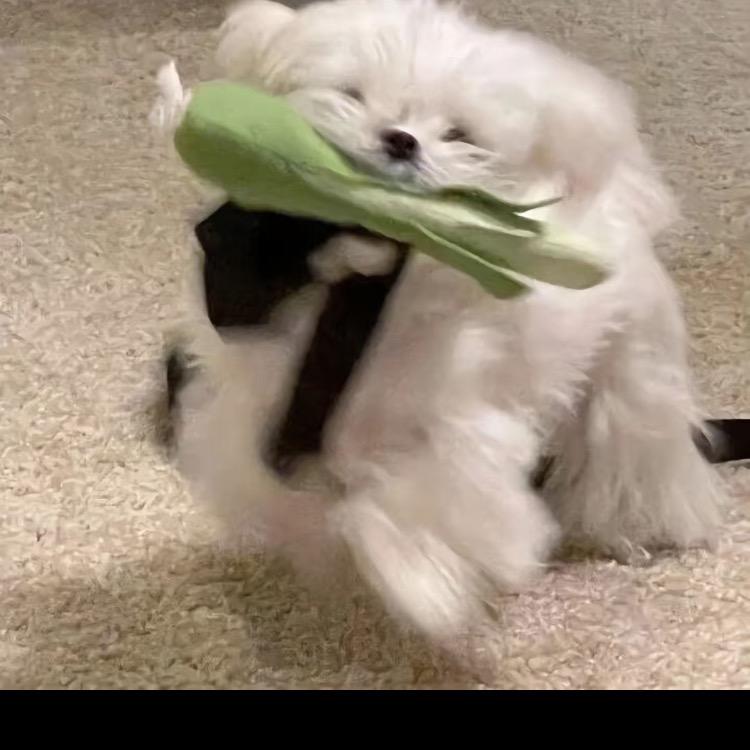 木森的百货商行