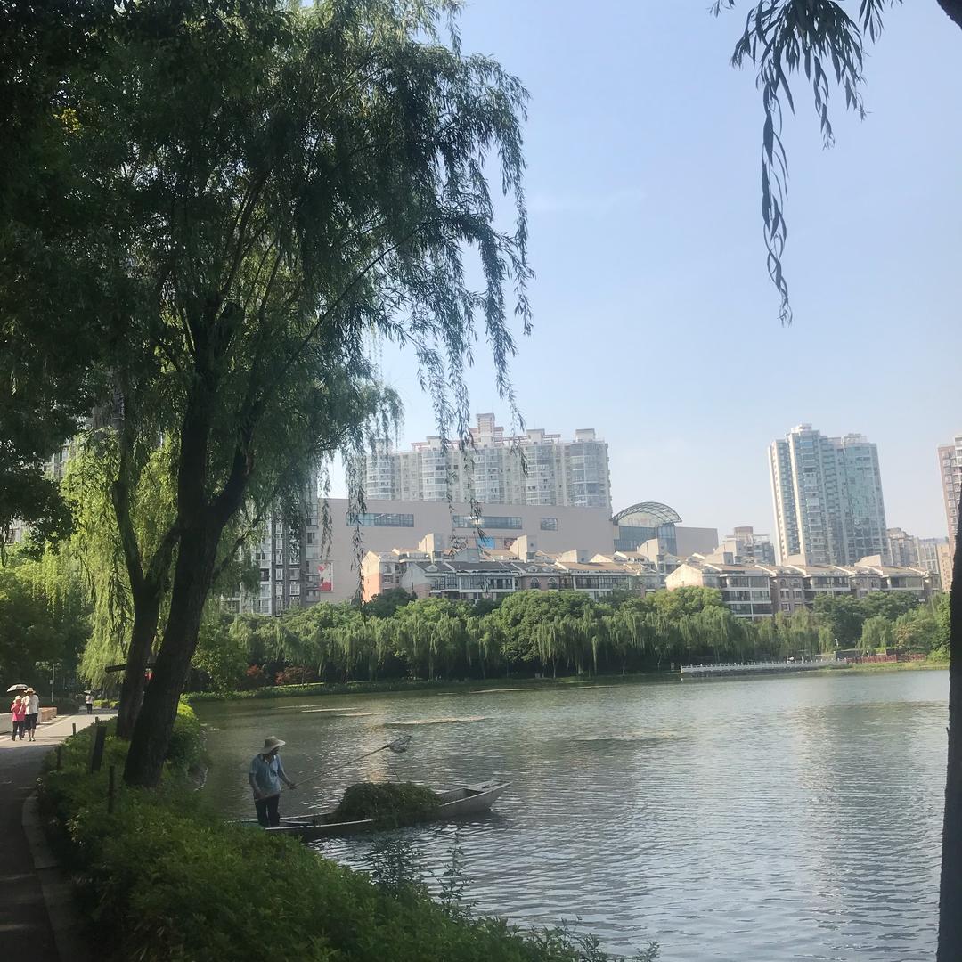 风月无边（羊）