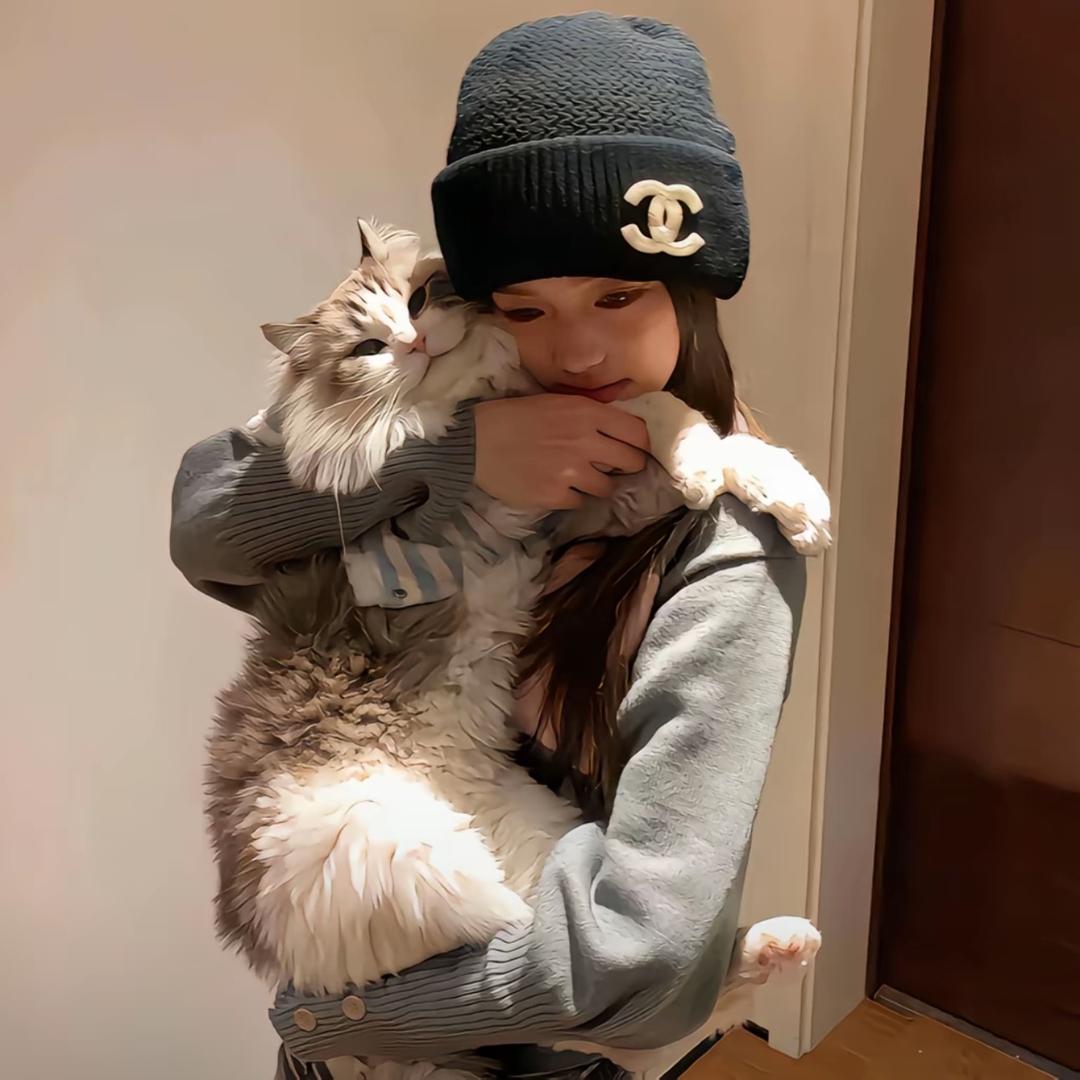 特猫tou