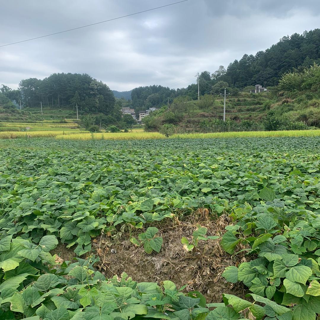 山水之家
